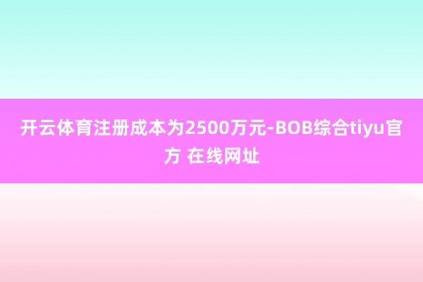 开云体育注册成本为2500万元-BOB综合tiyu官方 在线网址