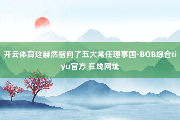 开云体育这赫然指向了五大常任理事国-BOB综合tiyu官方 在线网址