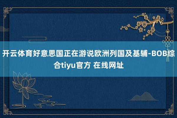 开云体育好意思国正在游说欧洲列国及基辅-BOB综合tiyu官方 在线网址
