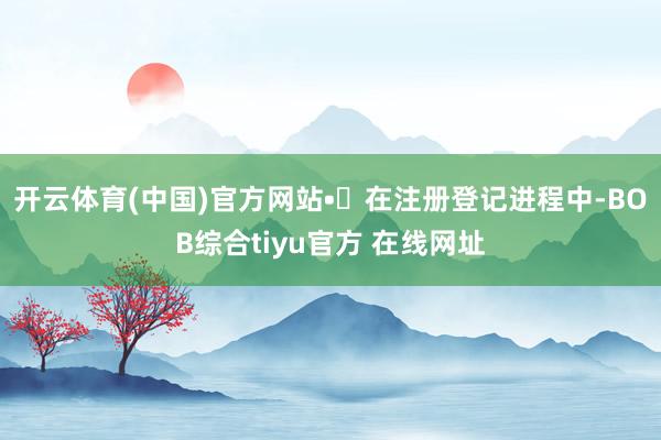 开云体育(中国)官方网站•在注册登记进程中-BOB综合tiyu官方 在线网址